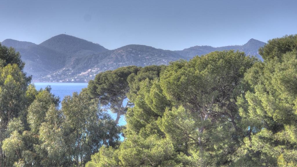 Beau 2 Pieces 3 Etoiles Vue Mer Garage Prive 150M Plages Wifi Канны Экстерьер фото